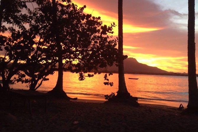 Sunset Beach Horseback Riding - Overview and Experience