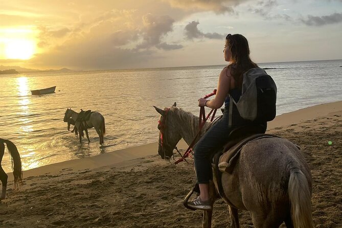 Sunset Beach Horseback Riding - Customer Reviews and Feedback