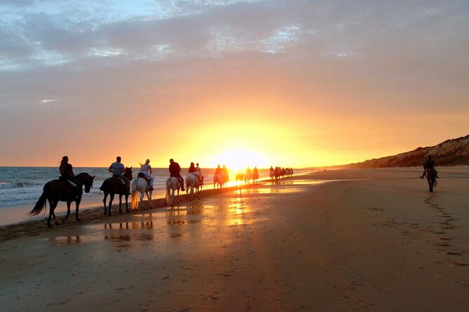 Sunset Beach Horseback Riding - What to Expect