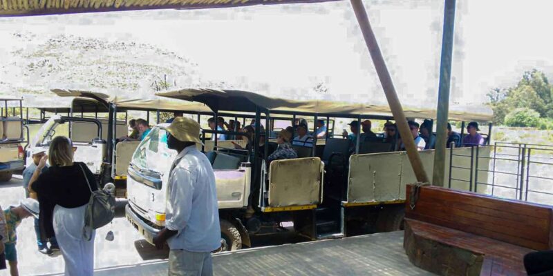 Sunset Big 5 Aquila Safari Snacks and Wine Tasting - Important Information