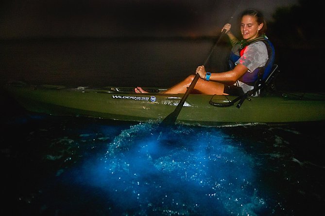 Sunset Bioluminescence Tour - What to Expect