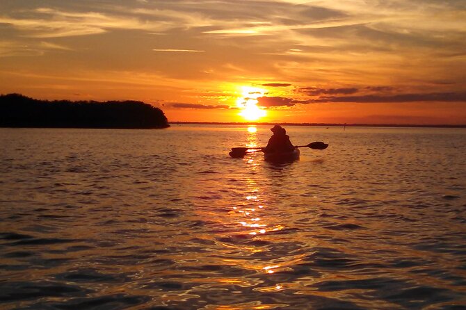 Sunset Bioluminescence Tour - What to Bring
