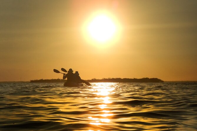 Sunset Bioluminescence Tour - Cancellation Policy