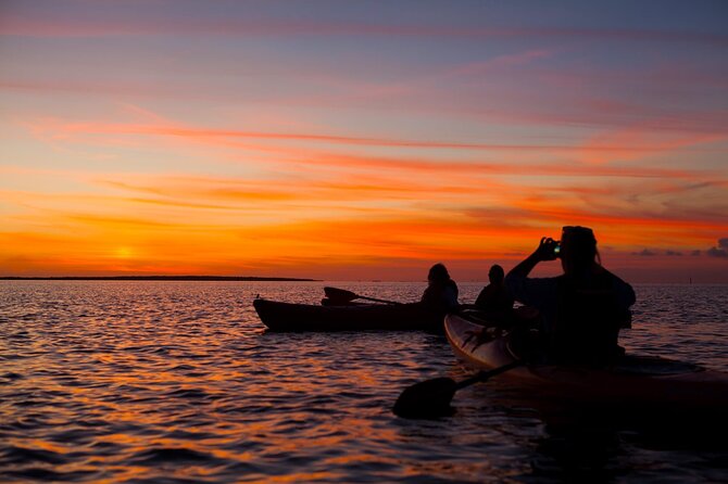 Sunset Bioluminescent Comb Jelly & Dolphin Tour - Tour Confirmation and Accessibility