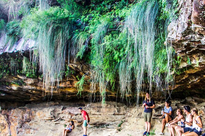 Sunset Blue Mountains Wilderness & Waterfall Tour From Sydney - Cancellation Policy