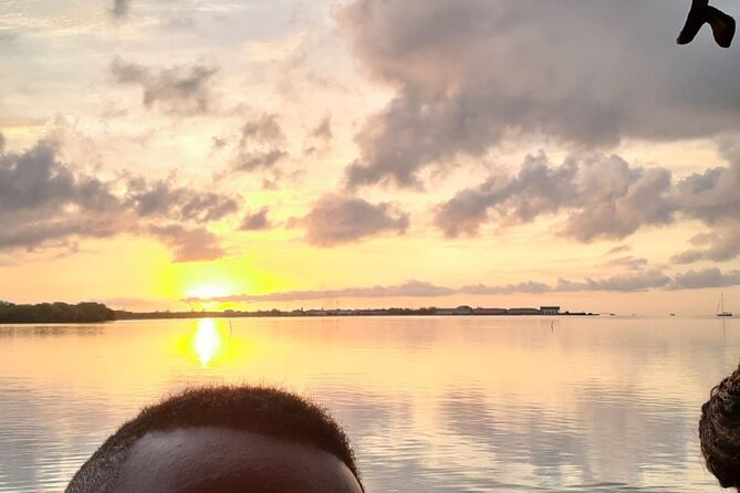 Sunset Boat Ride in the Falmouth Luminous Lagoon Swim and Dinner - About Your Stay