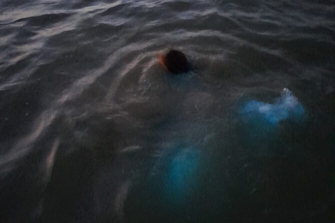 Sunset Boat Ride in the Falmouth Luminous Lagoon Swim and Dinner - Included Services and Amenities