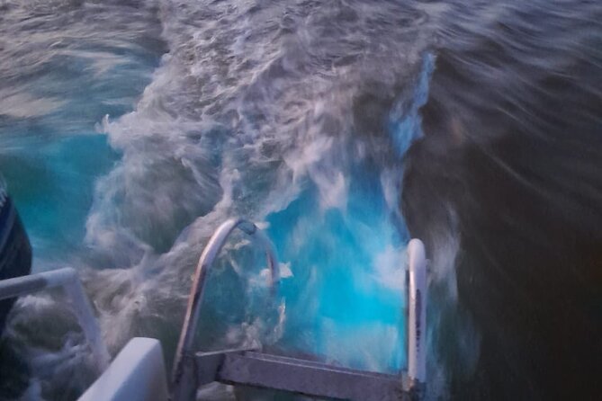 Sunset Boat Ride in the Falmouth Luminous Lagoon Swim and Dinner - Unforgettable Memories and Impressions