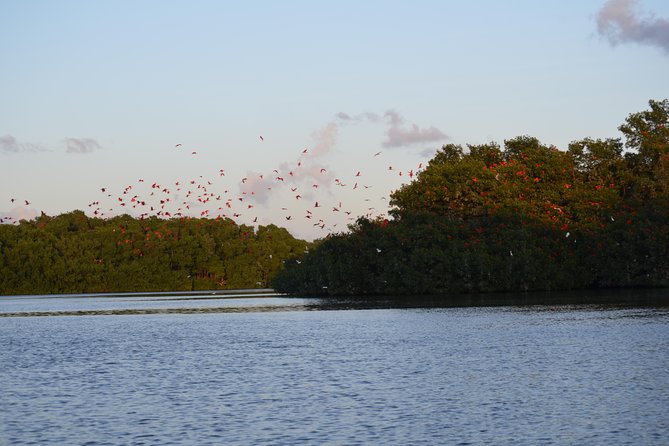 Sunset Boat Tour Into Caroni Wetlands - Meeting Point and Schedule