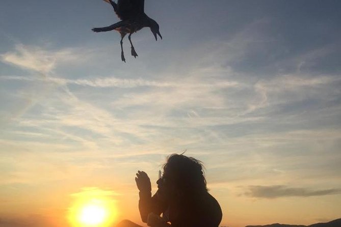 Sunset Boat Tour to Cinque Terre With Aperitif on Board - Reviews