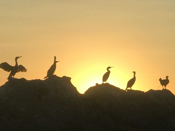 Sunset Boat Tour With Aperitivo & Swim in Natural Park - Sunset Viewing