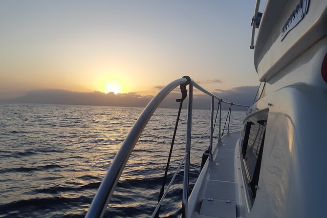 Sunset by Boat in Marbella - Booking Confirmation and Policies