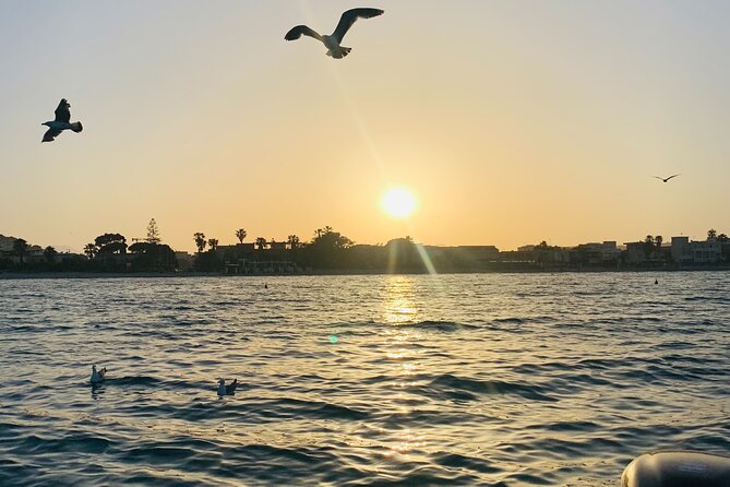 Sunset Cagliari: Sunsets, Dolphins and Aperitif at Sunset - Key Points
