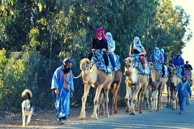 Sunset Camel Ride and Barbecue Dinner in Agadir - Pickup Information