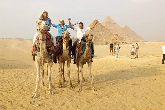 Sunset Camel Ride and Light Show From Cairo - Customer Reviews and Feedback