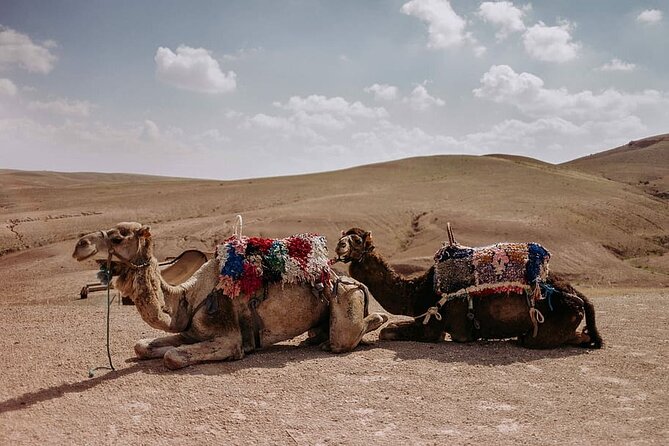 Sunset Camel Ride Experience at the Agafay Rocky Desert. - Pickup and Start Time