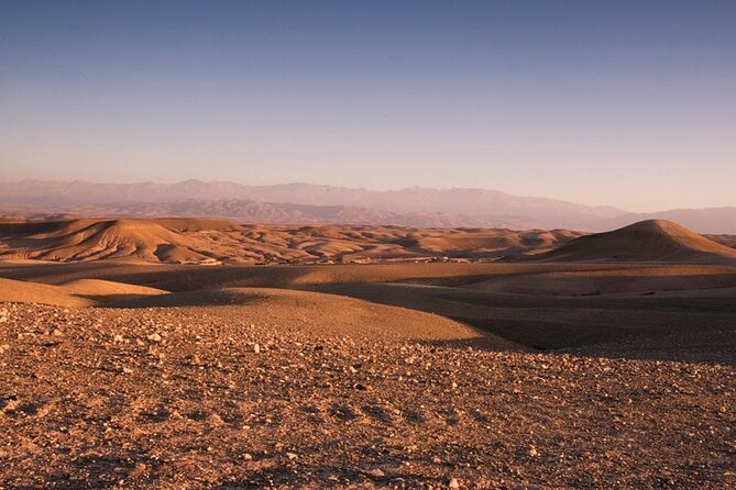 Sunset Camel Ride Experience at the Agafay Rocky Desert. - Group Size and Cancellation