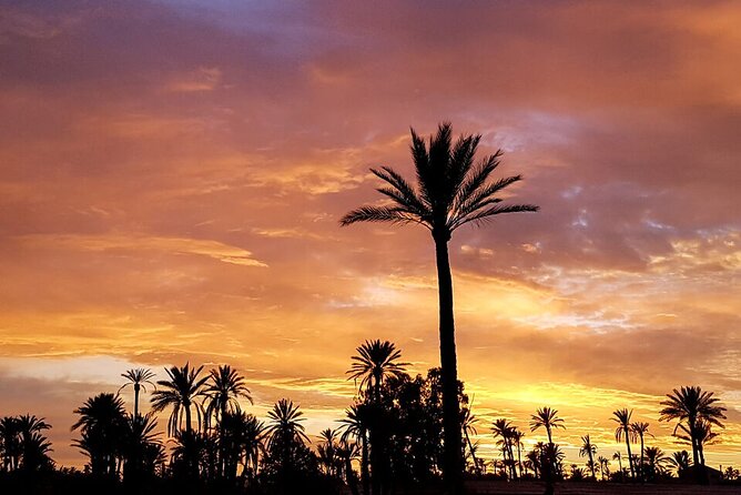 Sunset Camel Ride in Agadir or Taghazout With Transfers - Overview of the Experience