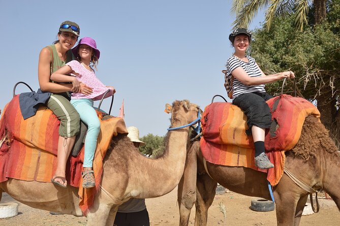 Sunset Camel Ride in Agadir or Taghazout With Transfers - Passing the Kings Palace