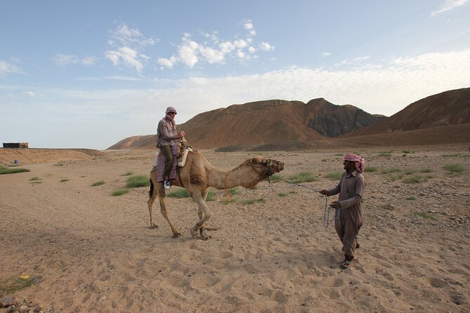 Sunset Camel Ride in Agadir or Taghazout With Transfers - Swaying and Enjoying the Views