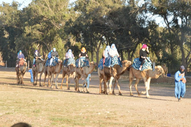 Sunset Camel Ride in Agadir With Transport, Tea and Cakes. - Pickup and Transportation Options
