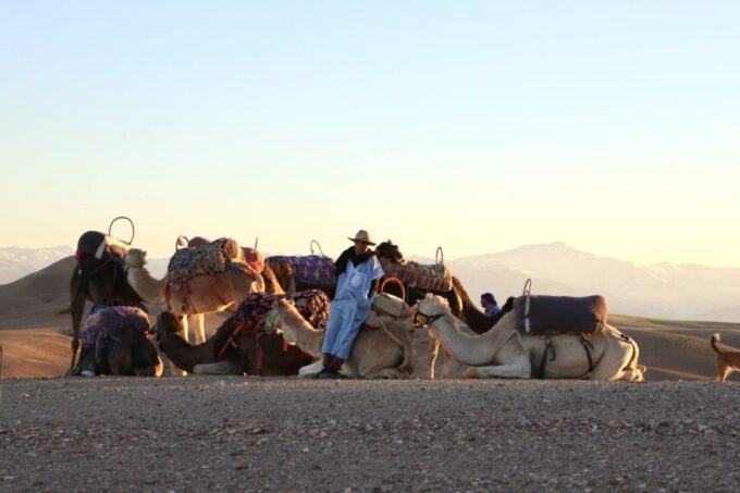 Sunset Camel Ride in Agafay Desert - Frequently Asked Questions