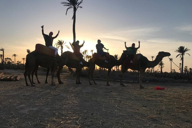 Sunset Camel Ride in the Palm Grove Of Marrakech - Berber Hospitality and Traditions