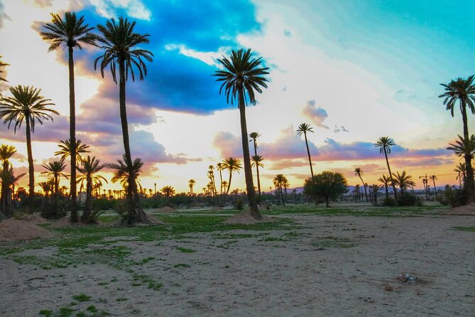 Sunset Camel Ride in the Palm Grove Of Marrakech - Preparing for the Adventure