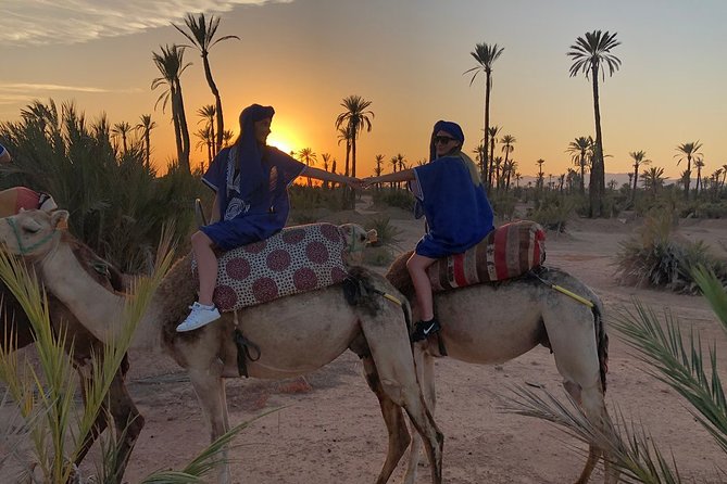 Sunset Camel Ride in the Palm Grove of Marrakech - Overview of the Tour