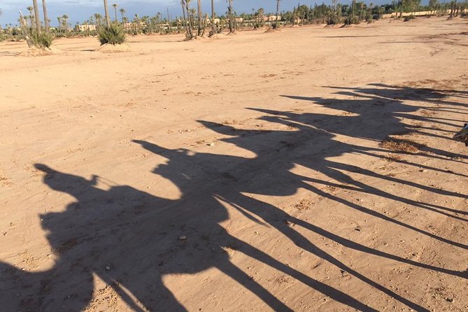 Sunset Camel Ride in the Palm Grove of Marrakech - Group Size and Booking Confirmation