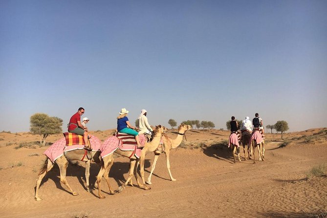 Sunset Camel Ride Including BBQ Dinner From Ras Al Khaimah - Exploring the Desert Landscape