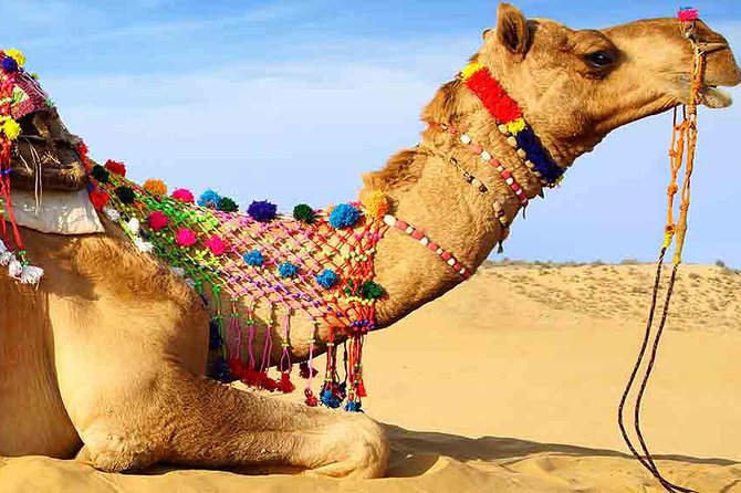 Sunset Camel Ride Including BBQ Dinner From Ras Al Khaimah - Bedouin-Style Camp and Dining