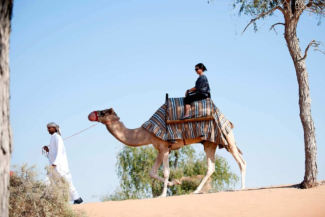 Sunset Camel Ride Including BBQ Dinner From Ras Al Khaimah - Logistics and Important Details
