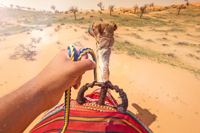 Sunset Camel Ride Including BBQ Dinner From Ras Al Khaimah - Customer Feedback and Ratings