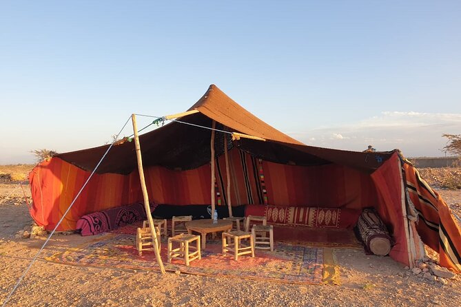 Sunset Camel Ride Marrakech Palmeraie - Additional Details