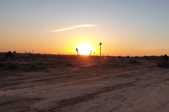 Sunset Camel Ride Marrakech Palmeraie - Participant Capacity