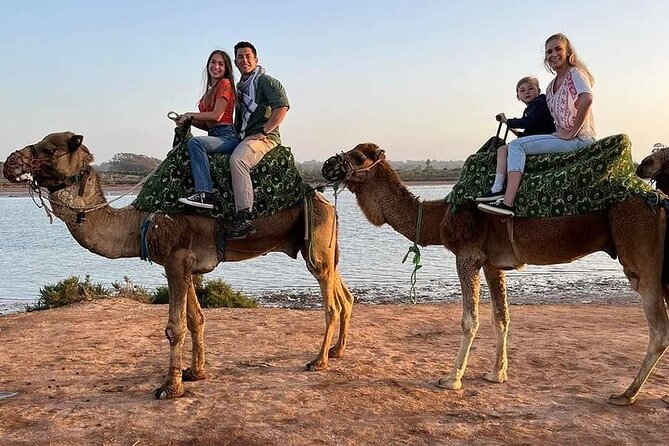 Sunset Camel With Barbecue Dinner - Overview
