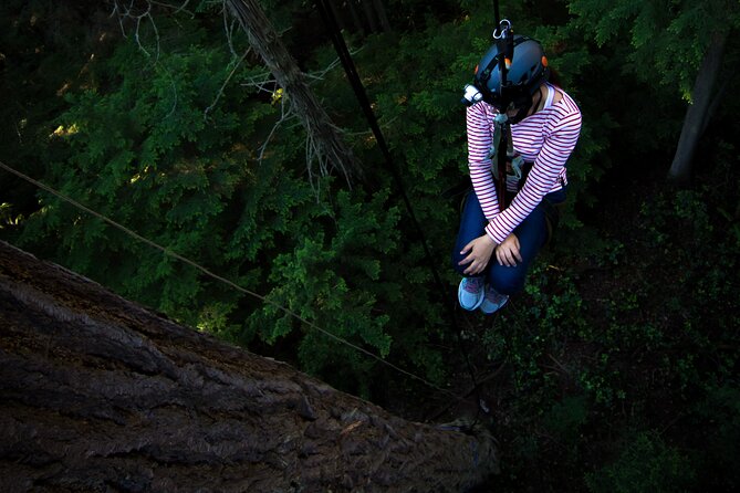 Sunset Canopy Climb on Lopez Island - Meeting and Pickup Information