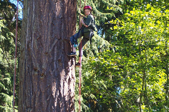 Sunset Canopy Climb on Lopez Island - Ratings and Reviews