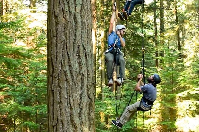 Sunset Canopy Climb on Lopez Island - Getting to Lopez Island