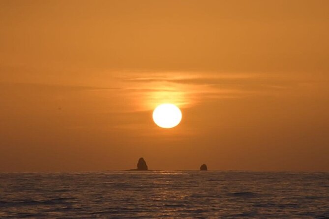 Sunset Catamaran in Playa Flamingo - Opportunities to See Wildlife