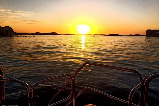 Sunset Champagne Cruise From Cape Town - Activity Details