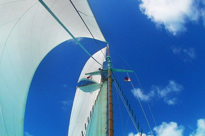 Sunset & Champagne Cruise on a Classic Schooner With Boat Dogs - Freshly Prepared Appetizers and Drinks