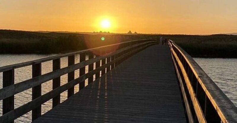 Sunset Coast Tour W/ Champagne & Dinner - Experience Highlights