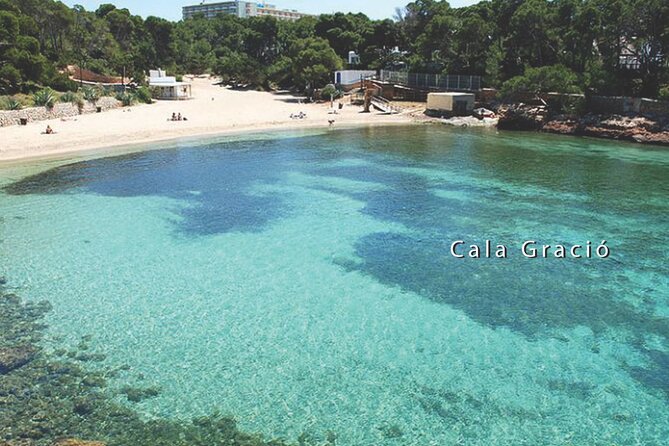 Sunset Cruise All Inclusive (Snorkeling, Paddle Board, Open Bar) - Customer Reviews