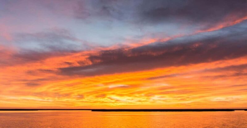 Sunset Cruise in San Jose Del Cabo - Key Points