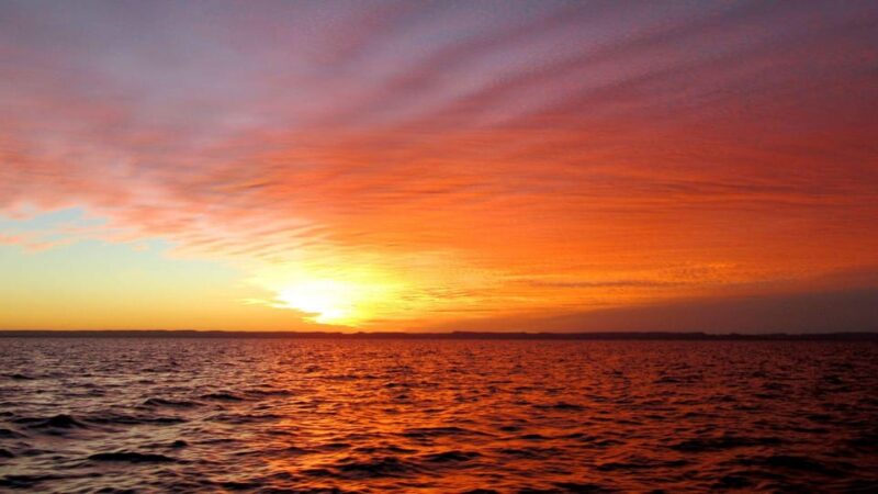Sunset Cruise in San Jose Del Cabo - Booking and Cancellation Details