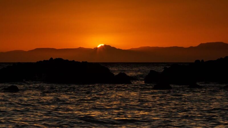 Sunset Cruise in San Jose Del Cabo - Customer Feedback and Ratings