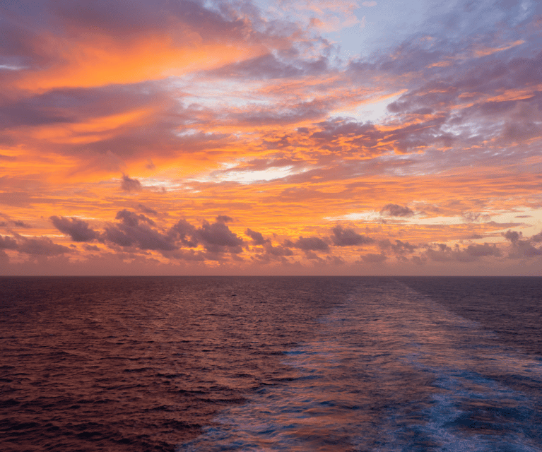 Sunset Cruise in San Jose Del Cabo - Wildlife and Scenery Observation