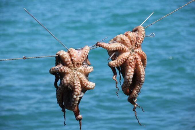 Sunset Cruise & Night Squid Fishing in Phu Quoc - Pricing
